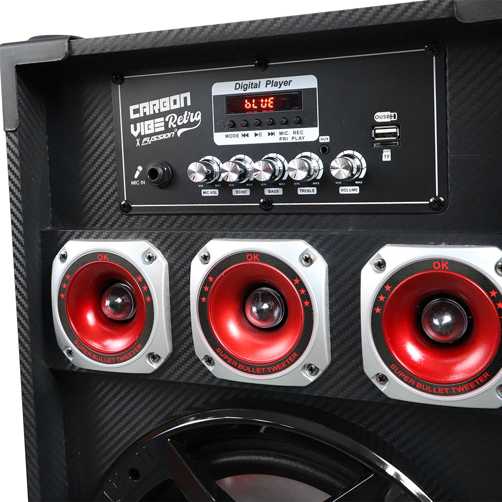 PBS-3010 JUEGO DE BAFLES ACTIVO Y PASIVO 2X10" CARBON VIBE RETRO 4500W P.M.P.O